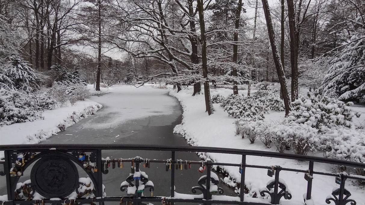 Marzec w obiektywie - zdjęcie 59