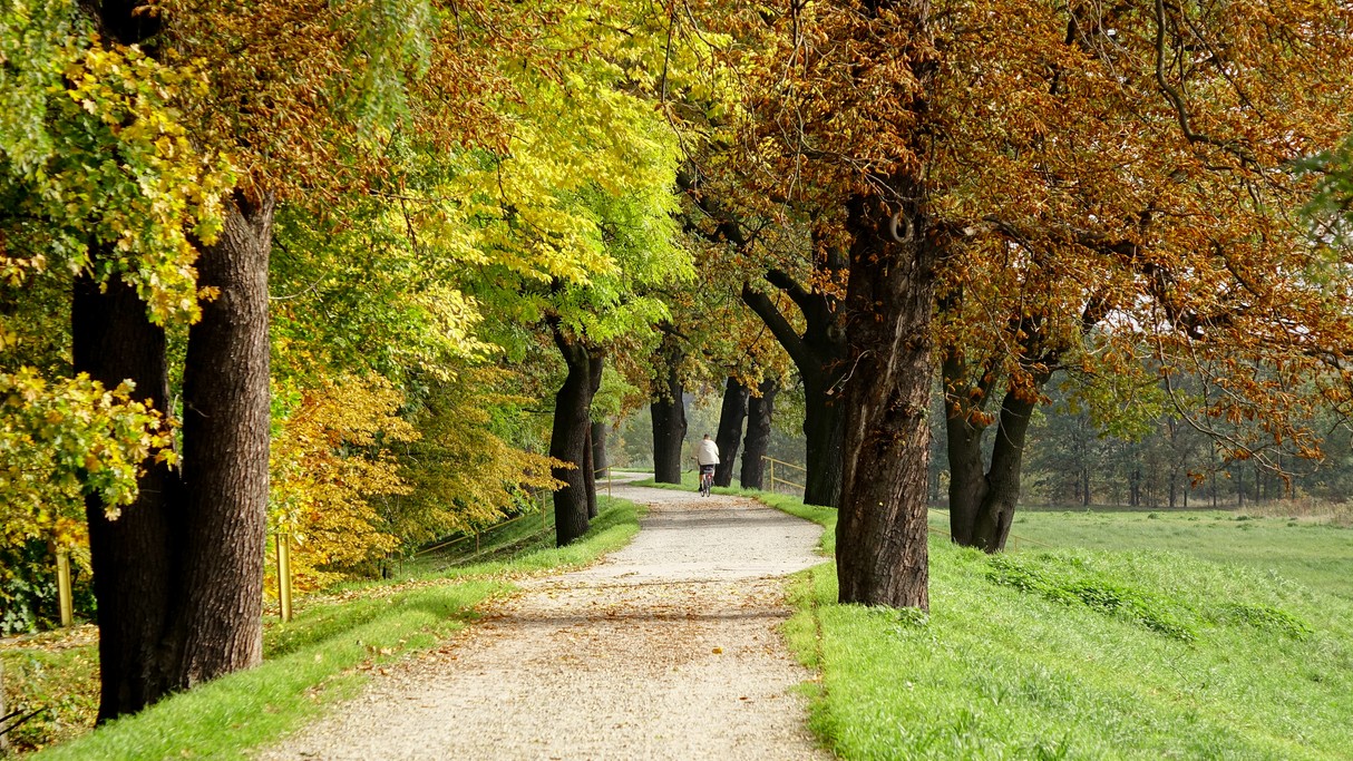 Najpiękniejsze polskie drogi - zdjęcie 17