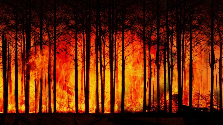 Tysiące strażaków walczą z rozległymi pożarami lasów, na Syberii trzeba ewakuować wsie
