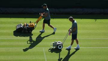 Wimbledon online. Transmisja meczów z kortu numer 16 - 02.07