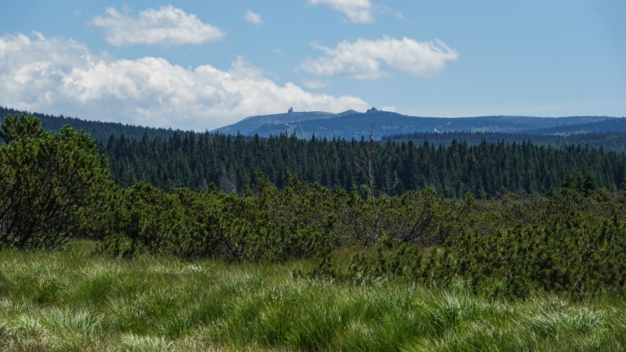 Cztery wakacyjne oblicza Polski - zdjęcie 26