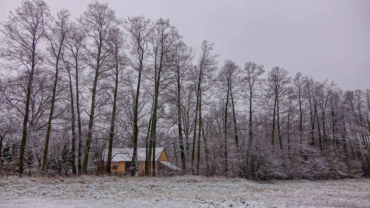 Grudzień w obiektywie - zdjęcie 27