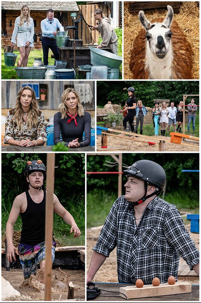 2026-02-16 Farma - edycja 5, odcinek 1: Zaczęli i już... starcie na starcie - Polsat.pl