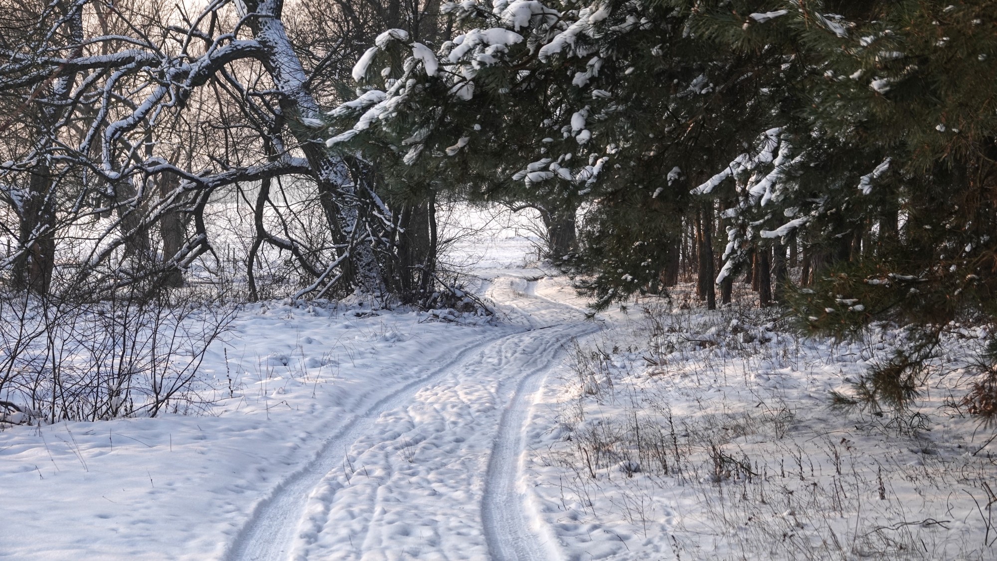 Na lodowym szlaku - zdjęcie 54