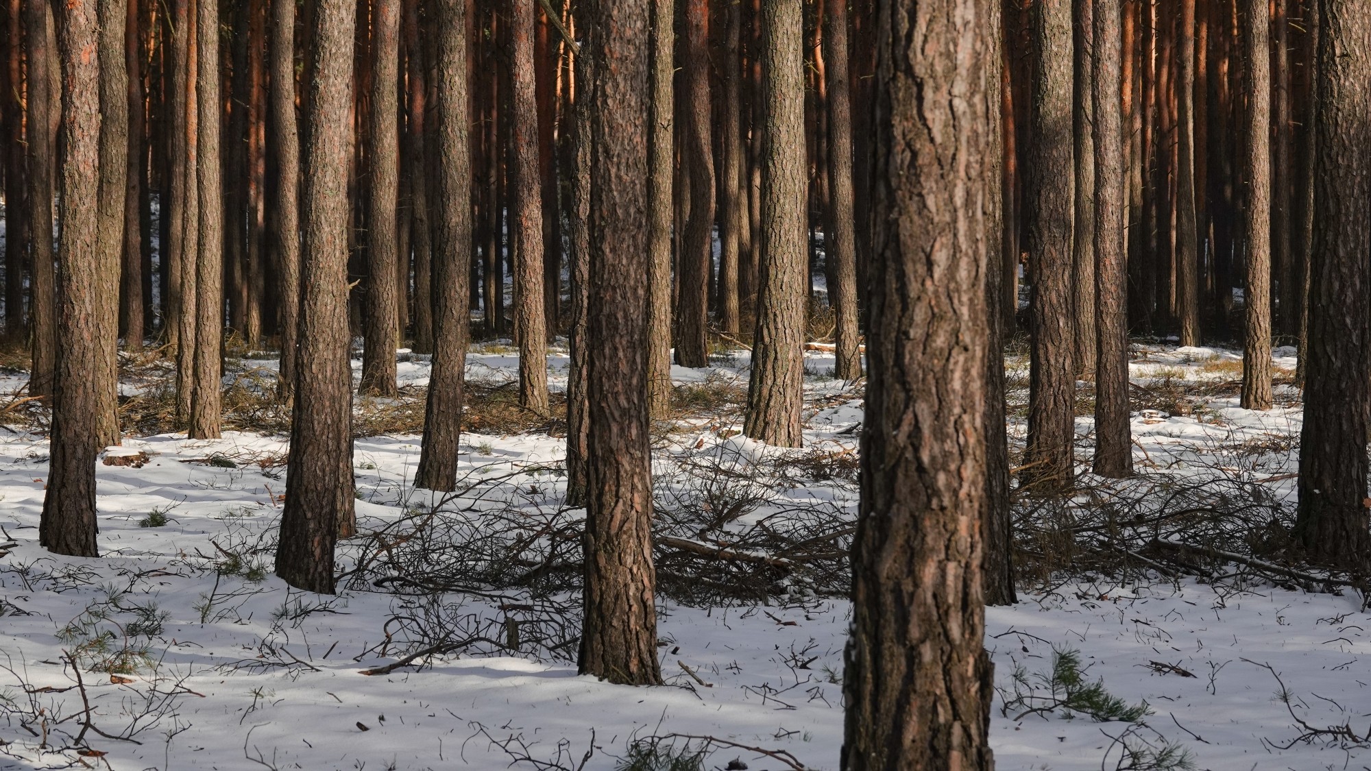 Oblicza zimy - zdjęcie 4