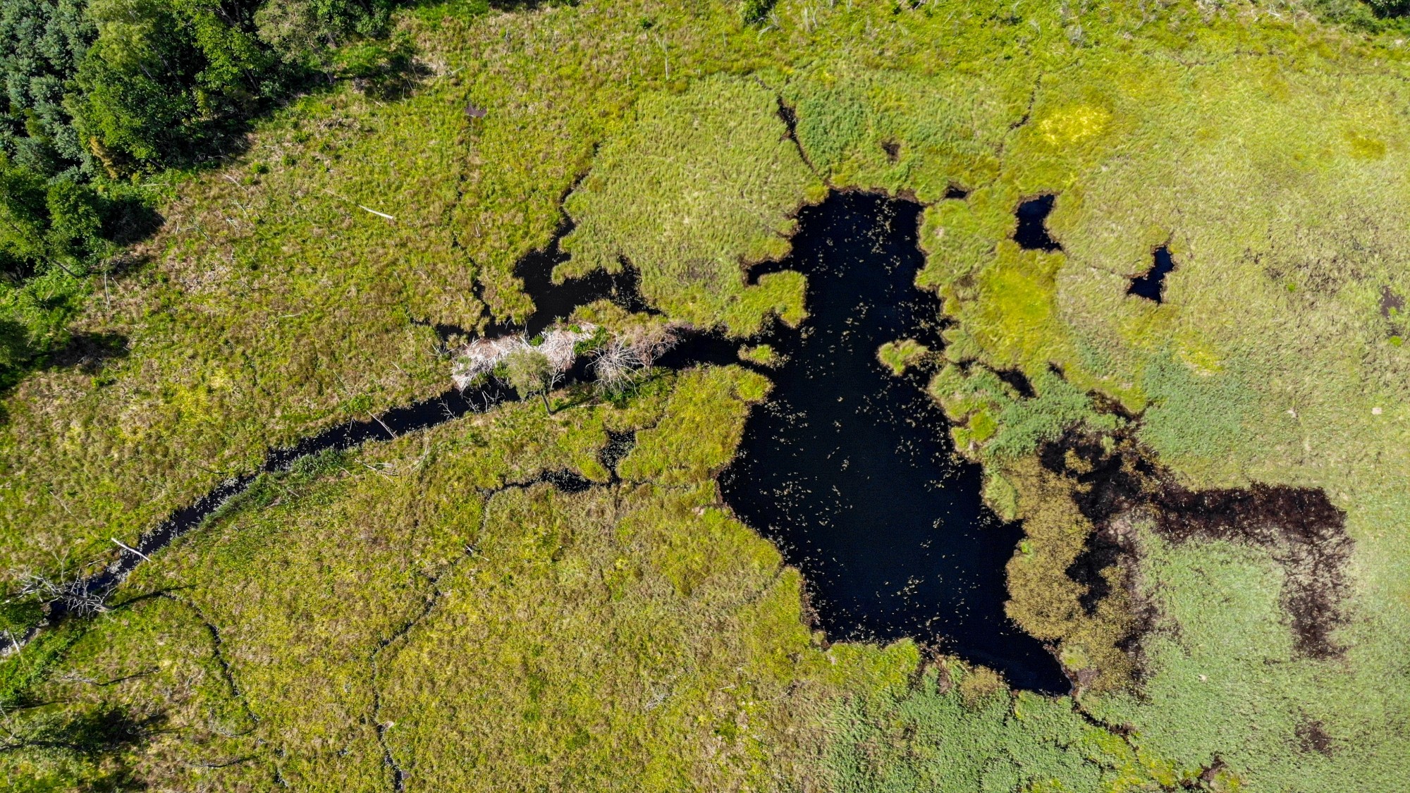 Niesamowita Polska z lotu ptaka - zdjęcie 24