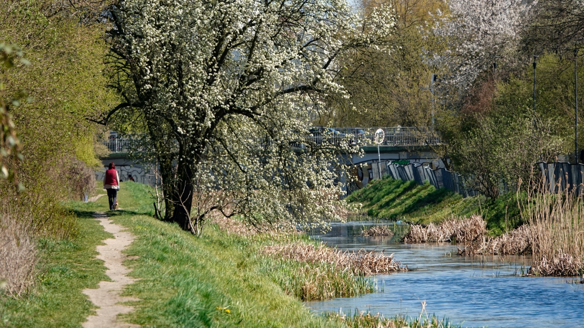 Kwiecień w obiektywie - zdjęcie 44