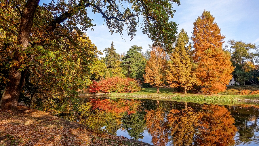 04.10.2018 10:00 Pogoda na październik: Będzie babie lato, a może spadnie pierwszy śnieg? Sprawdź prognozę