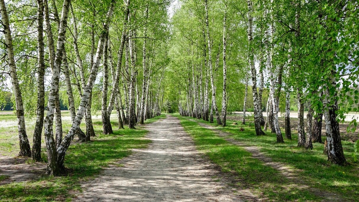 Polskie krajobrazy w 2018 roku - zdjęcie 23