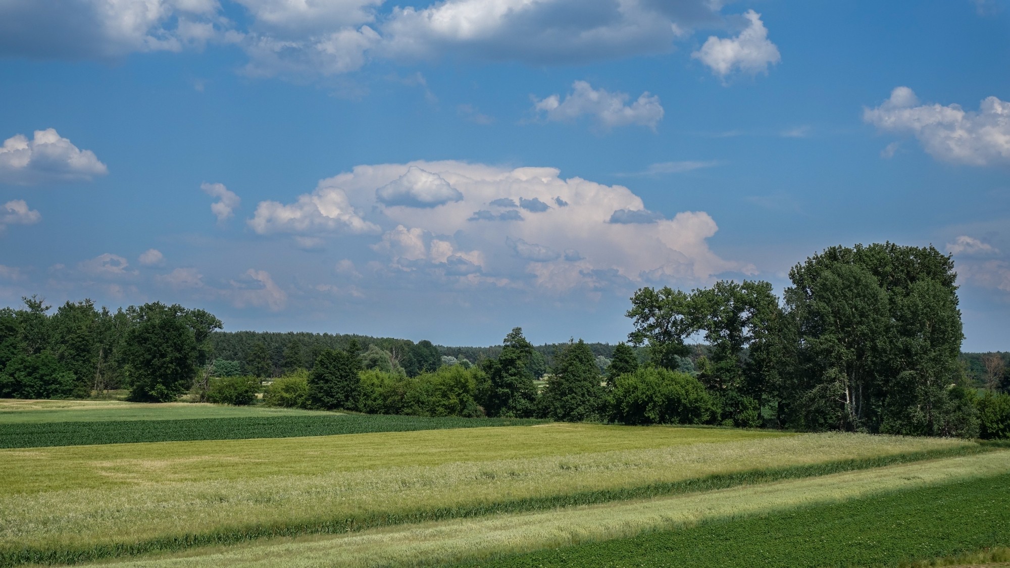 Czerwiec w obiektywie - zdjęcie 26