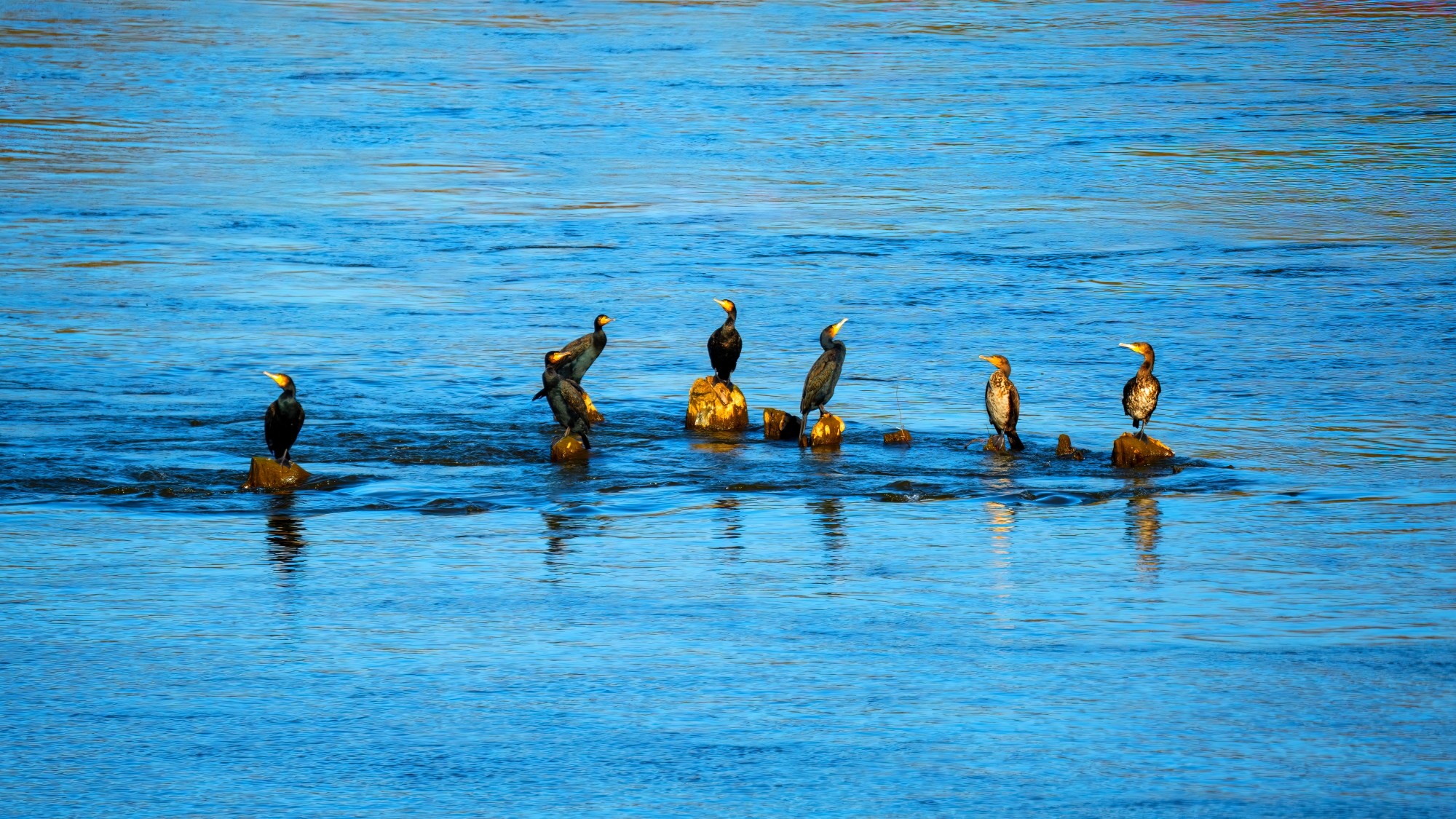 Piękny listopad - zdjęcie 16
