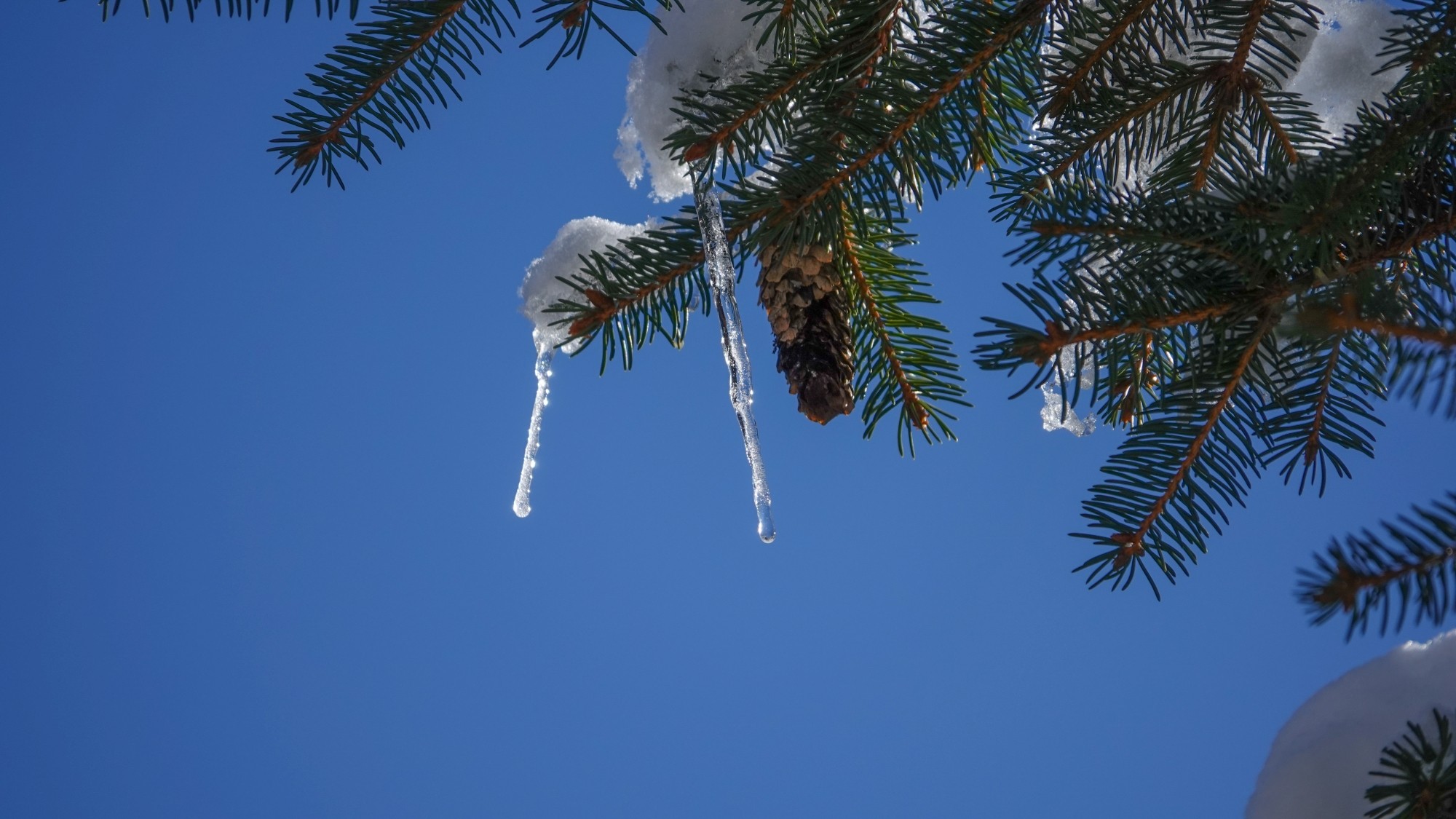 Kraina Narnii - zdjęcie 52