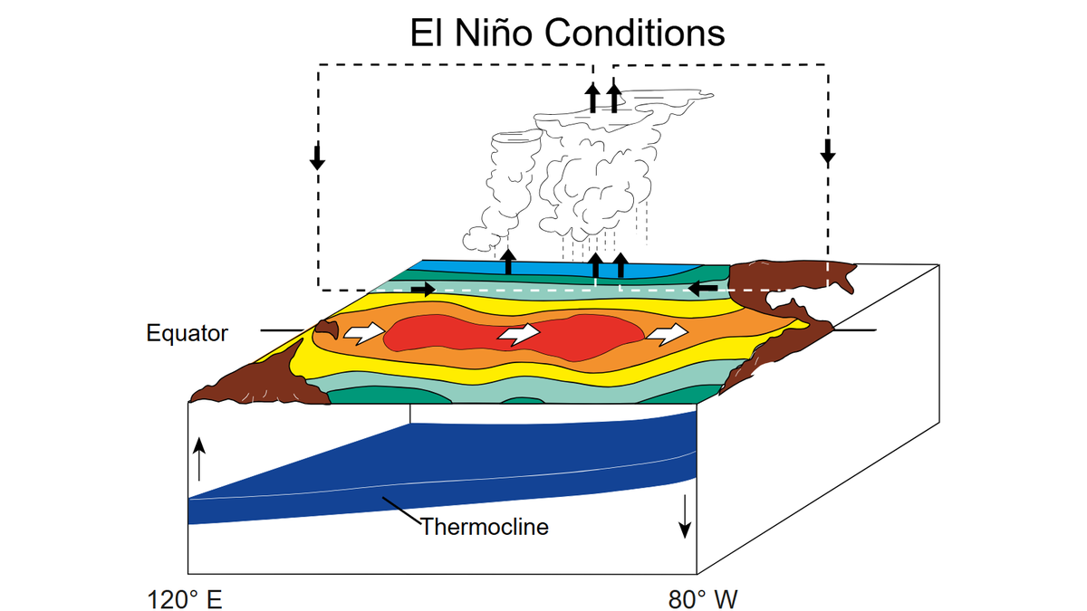 El Niño i La Niña to naturalne fazy cyklu klimatycznego ENSO