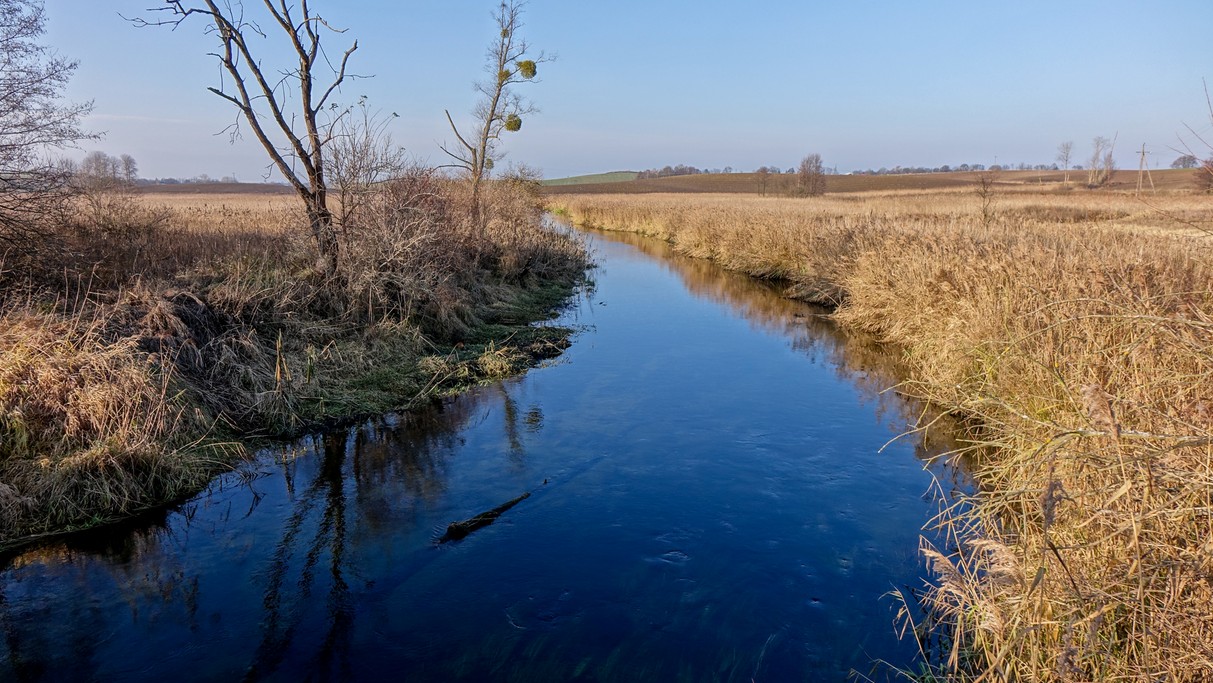 Nad morzem, jeziorami i rzekami - zdjęcie 106