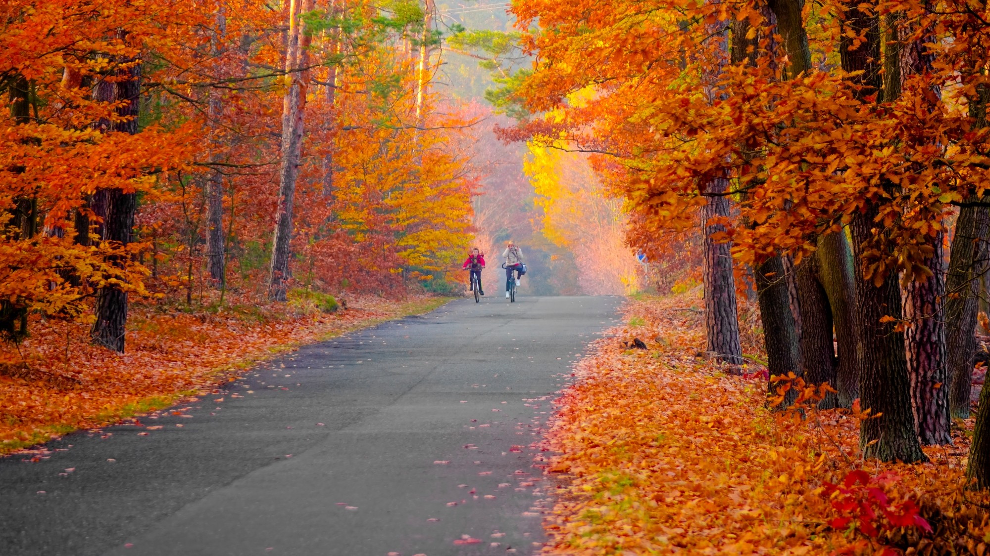 Kraina jesieni - zdjęcie 20