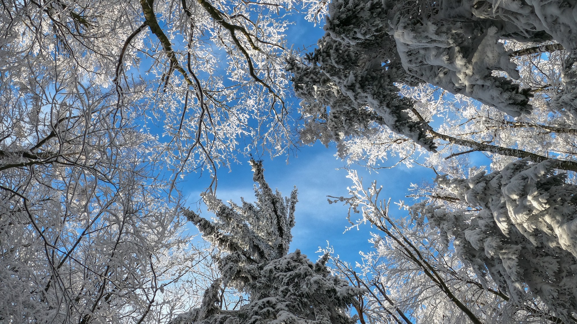 100 najpiękniejszych zdjęć 2021 roku - zdjęcie 53