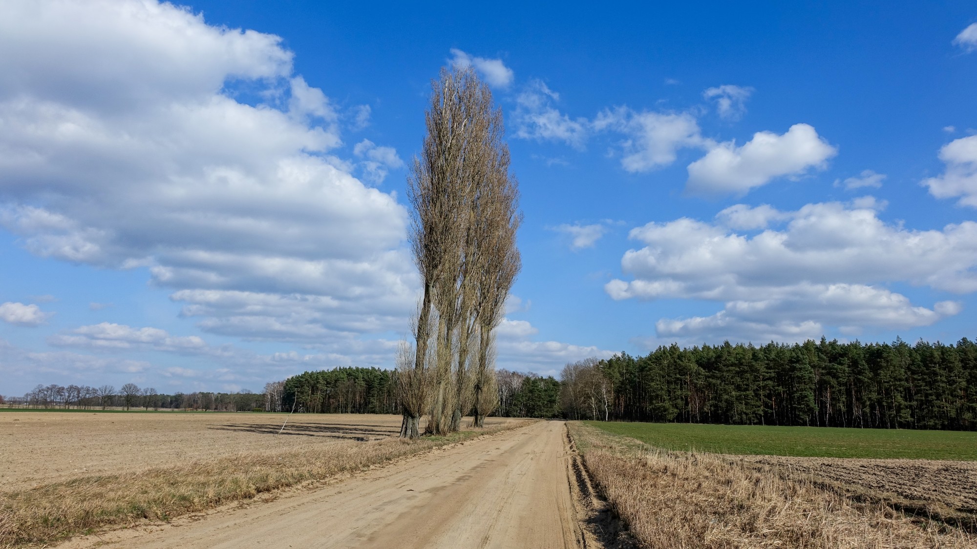 Drogą do raju - zdjęcie 25