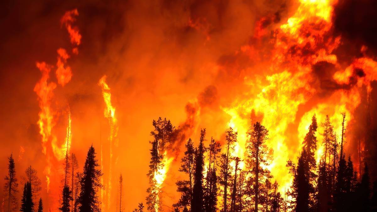 Ziemię objął gigantyczny pożar. Fot. Pixabay.