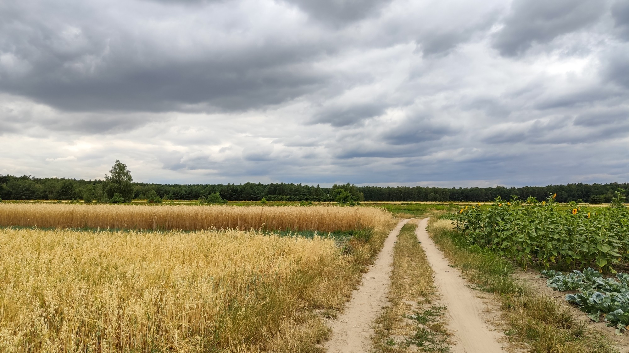 Lipiec w obiektywie - zdjęcie 48