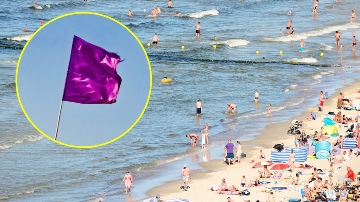 Fioletowa flaga na plaży ostrzega przed niebezpiecznymi stworzeniami w wodzie
