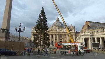 Wyjątkowa choinka i szopka w Watykanie. Przypominają o katastrofalnych nawałnicach