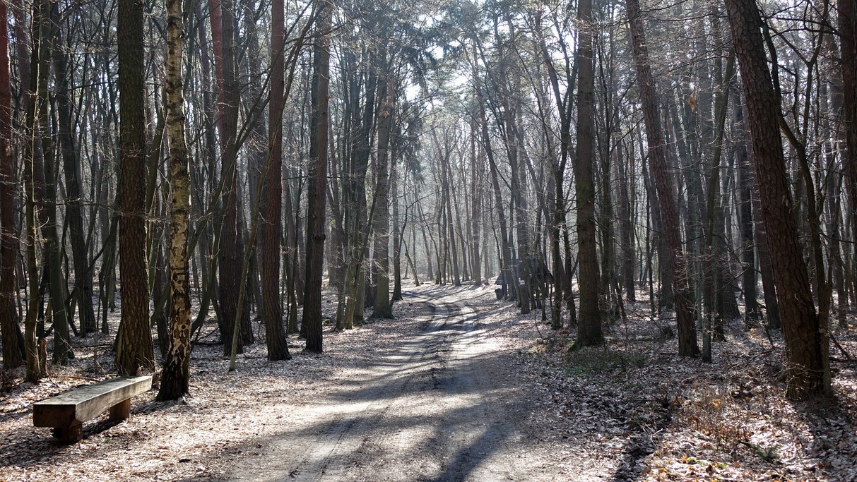 Luty w obiektywie - zdjęcie 11