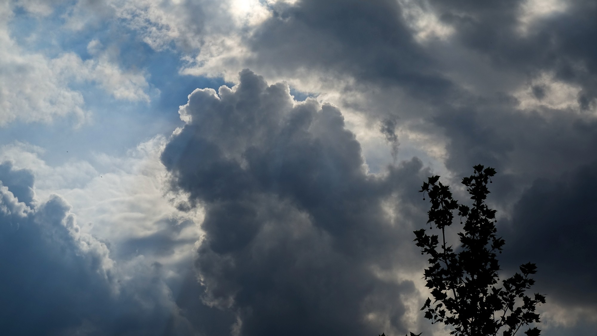 Maj w obiektywie - zdjęcie 25