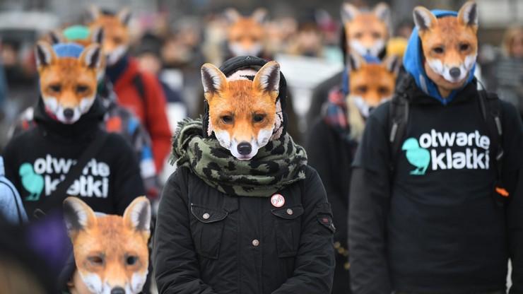 "Lisy" przed Sejmem. Protest przeciw hodowli zwierząt na futro
