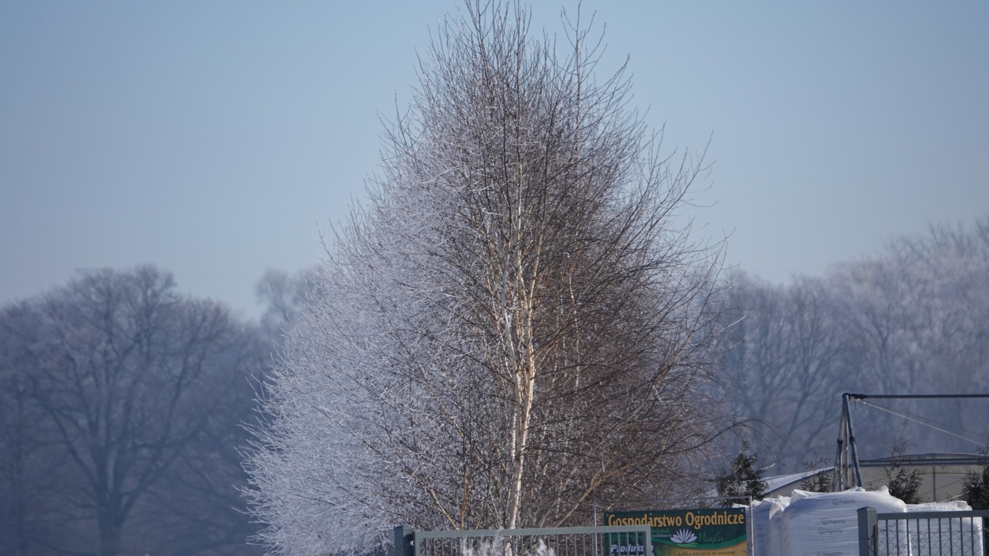 Kraina Narnii - zdjęcie 48