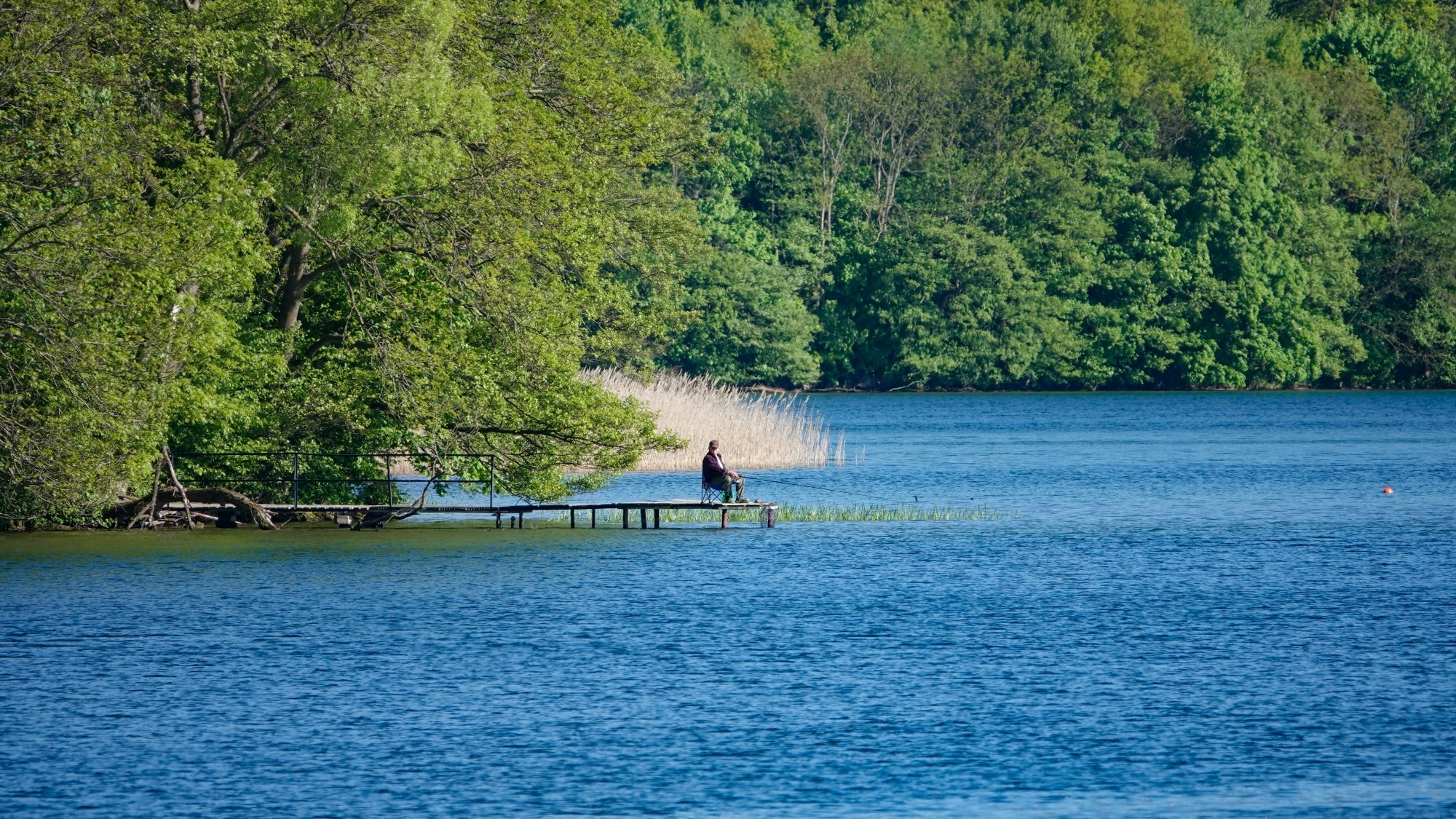 Lato w plenerze - zdjęcie 33