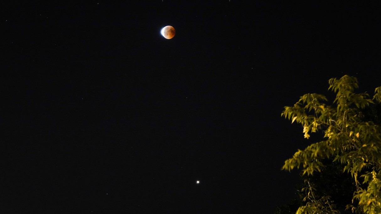 Lipiec w obiektywie - zdjęcie 9