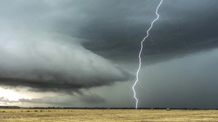 29.05.2020 09:00 Pierwsze ofiary burzy w tym roku. Piorun poraził rolników na polu. Sprawdź, jak unikać zagrożenia