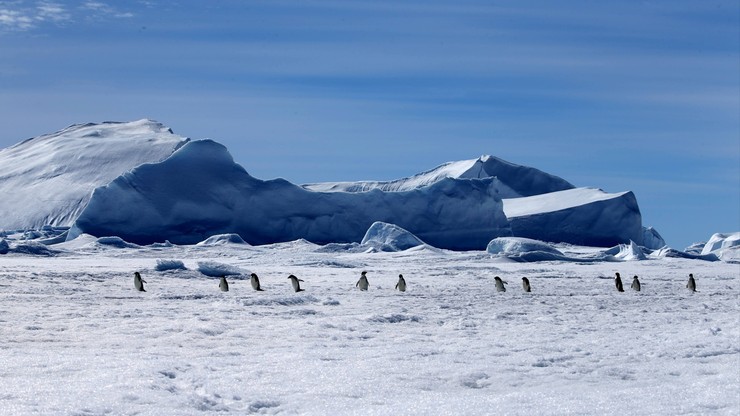 Uczestnicy maratonu opuścili Antarktydę. Polak dotarł do Chile