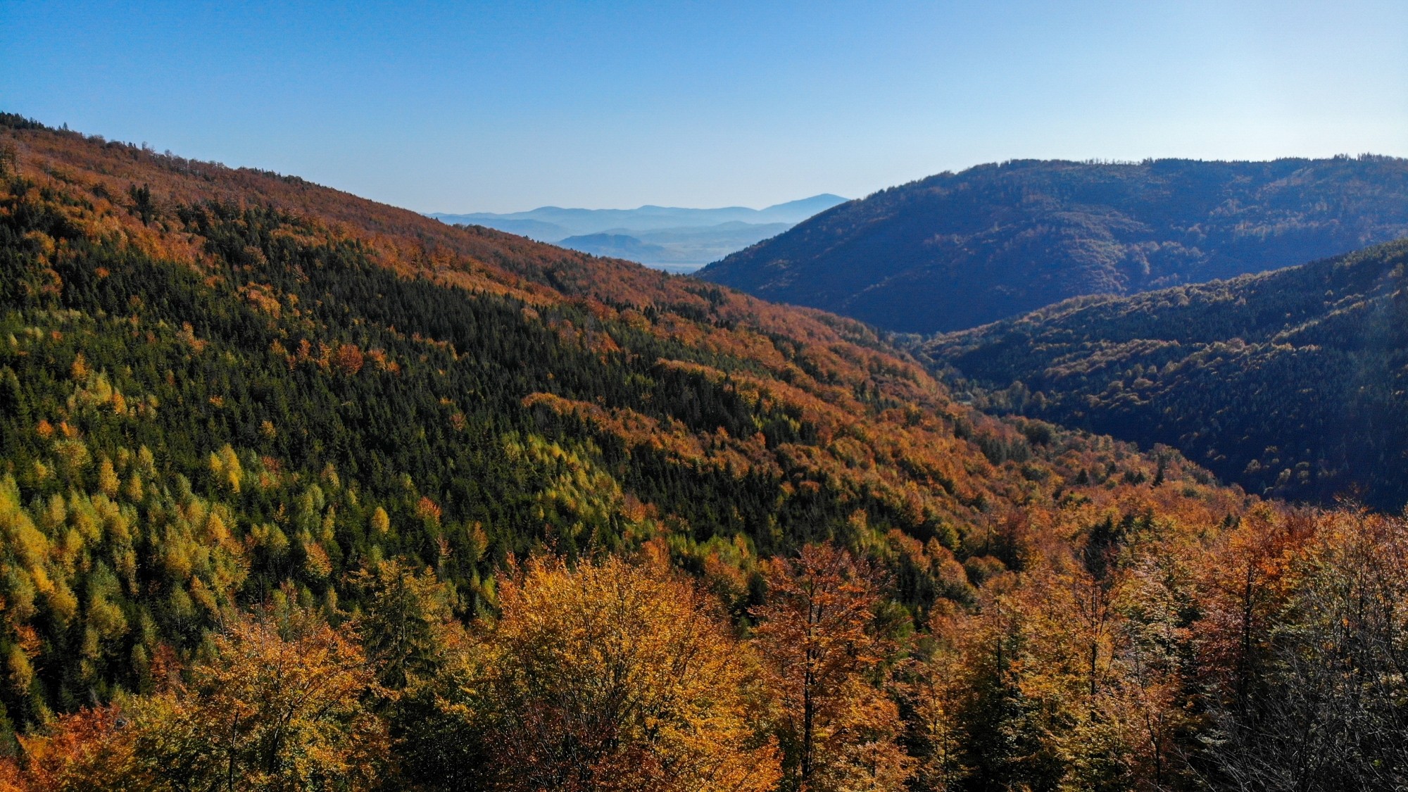 Jesień w górach, lasach i nad jeziorami - zdjęcie 17