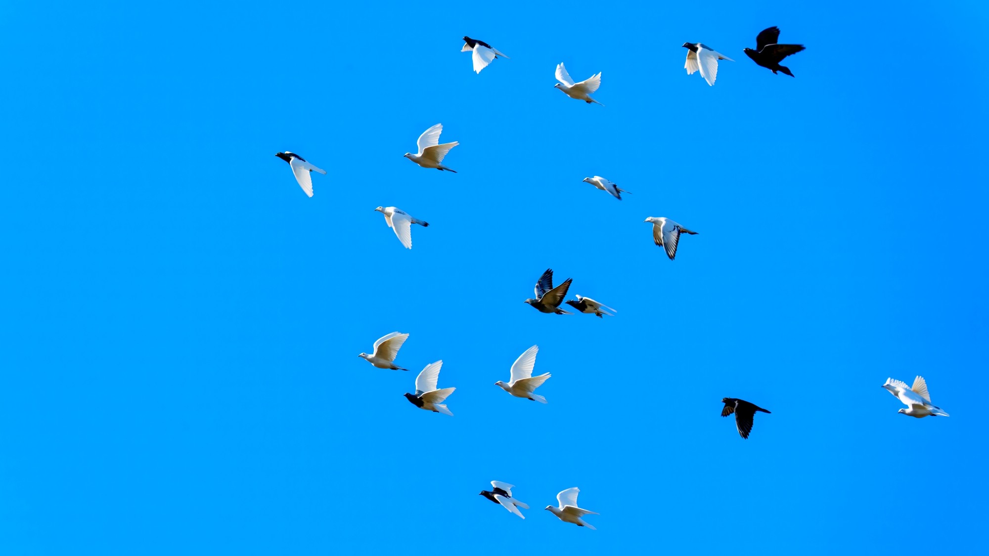 Piękny listopad - zdjęcie 21