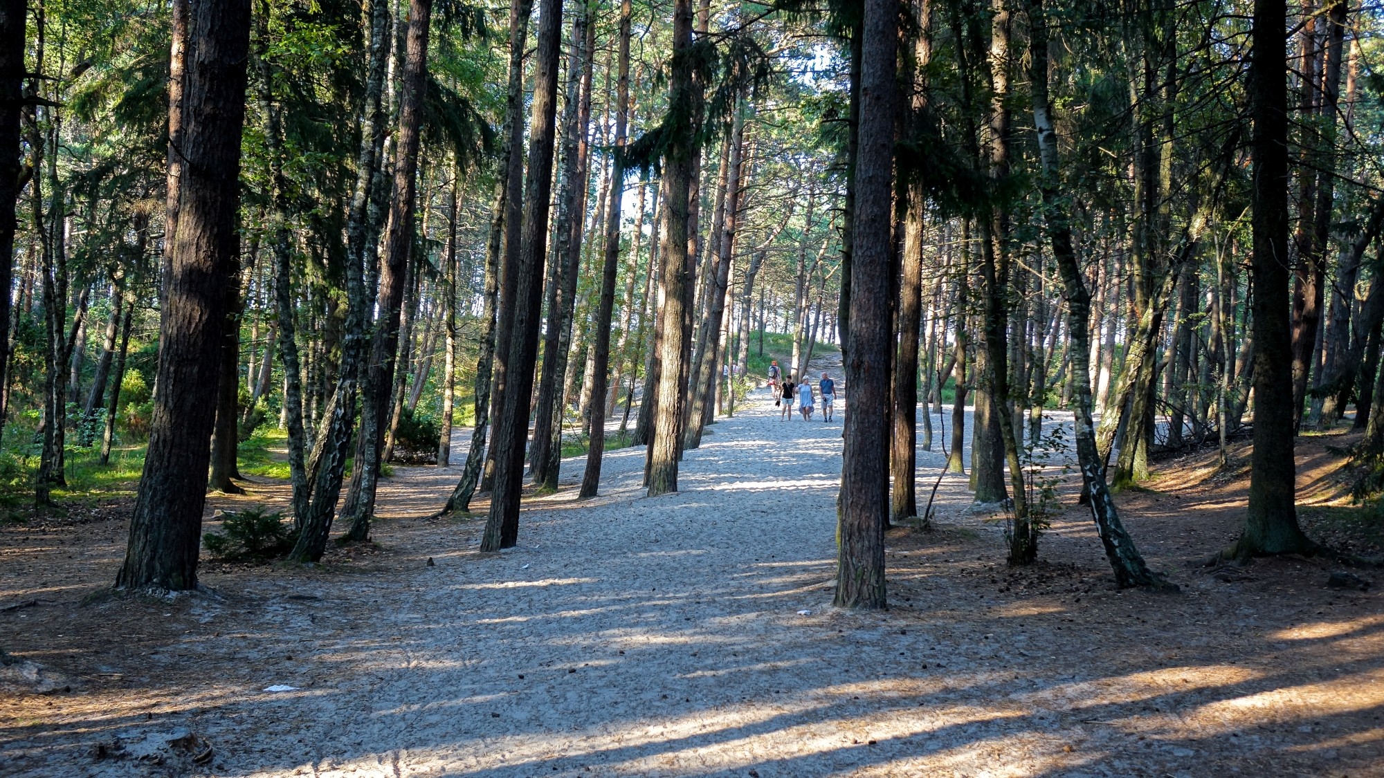 Sierpień w obiektywie - zdjęcie 16