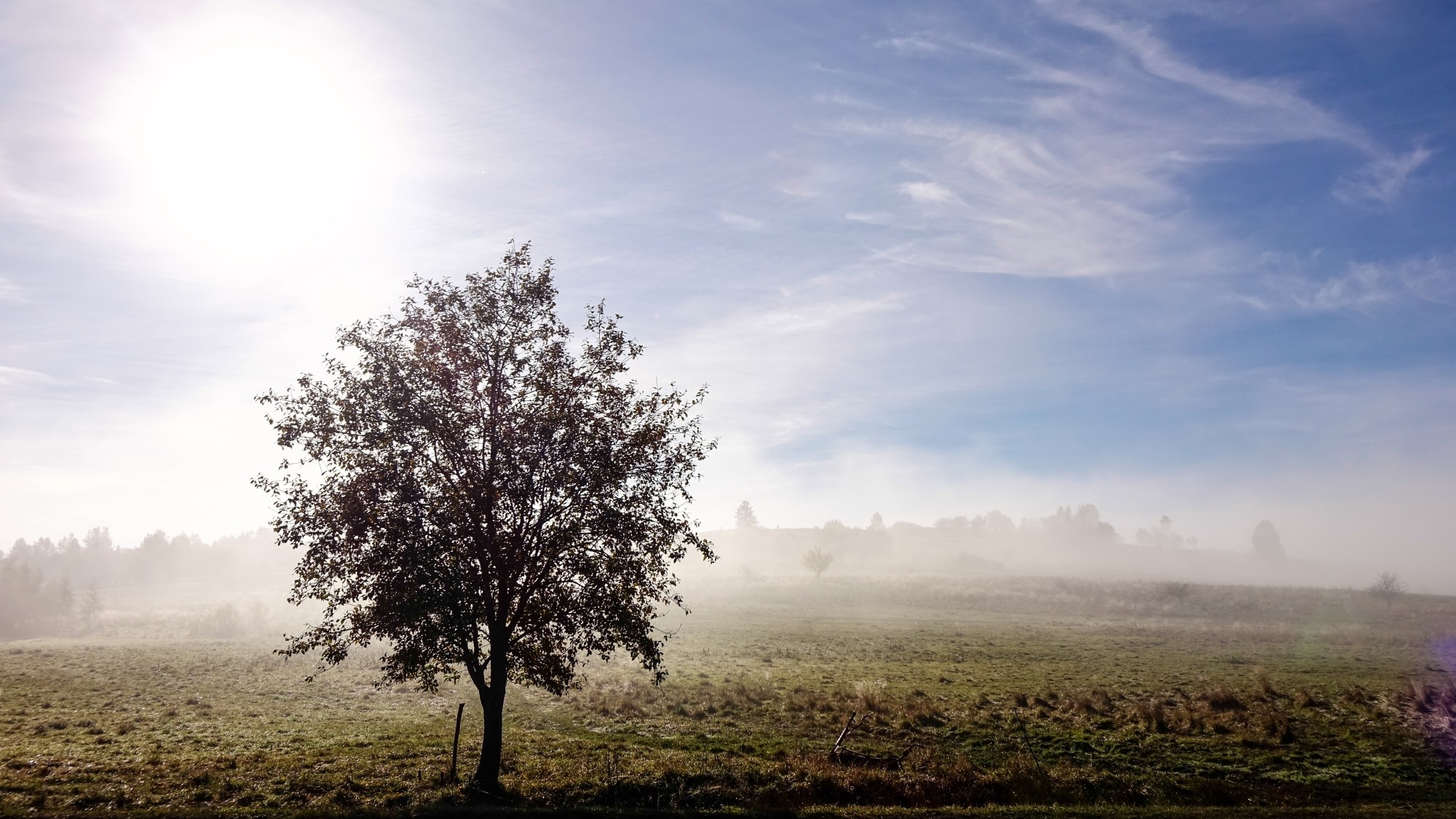 Odkryj piękno Polski w wakacje - zdjęcie 81
