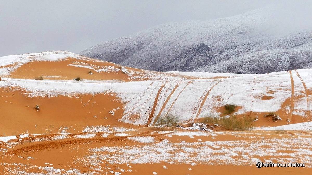 Okolice Aïn Séfra na Saharze w śniegu. Fot. Karim Bouchetata.
