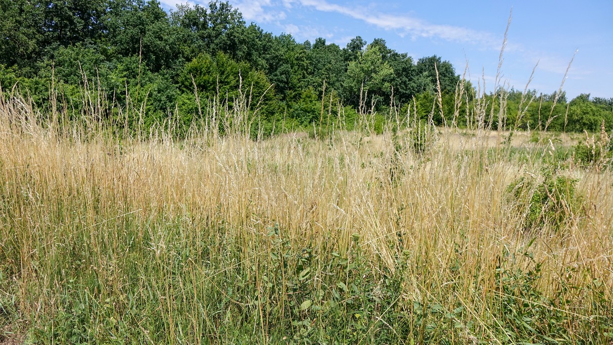 Czerwiec w obiektywie - zdjęcie 60
