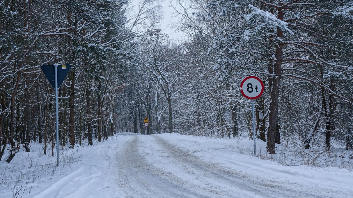 Styczeń w obiektywie - zdjęcie 68