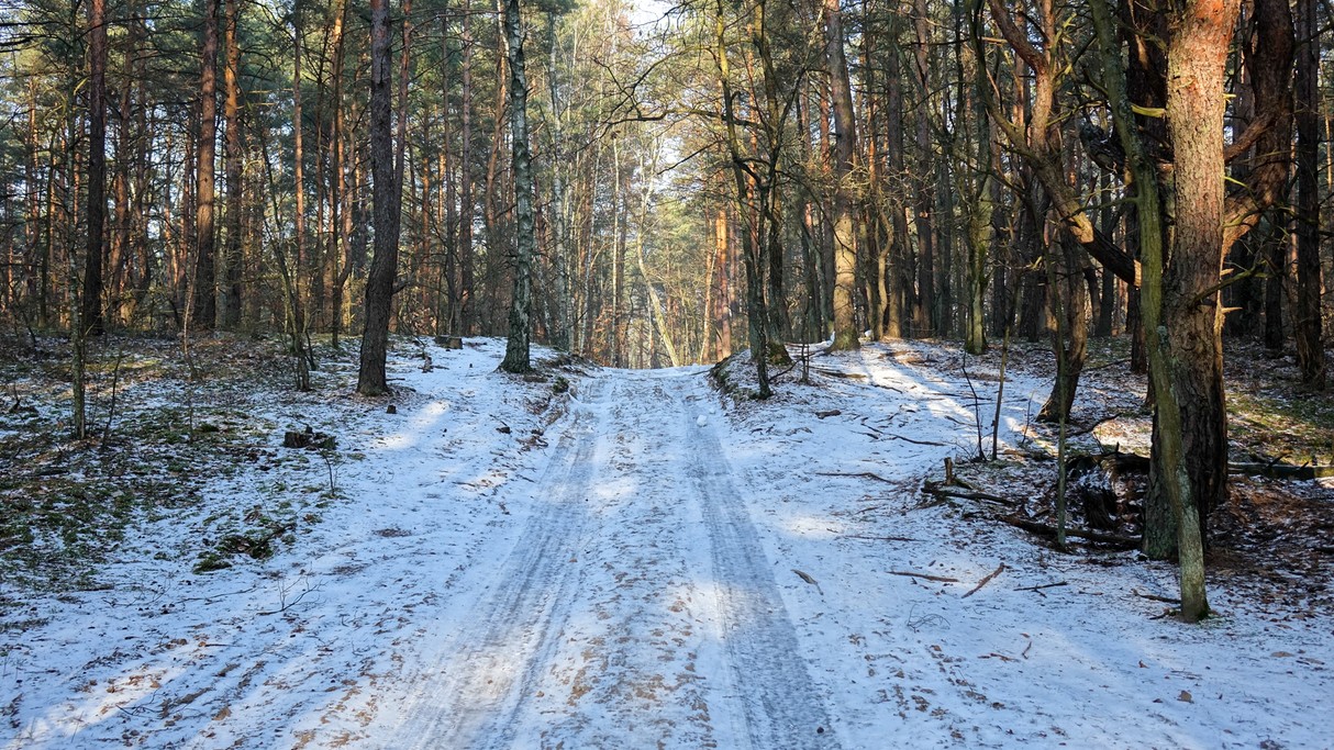 Styczeń w obiektywie - zdjęcie 54