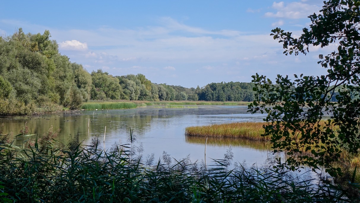 Wrzesień w obiektywie - zdjęcie 28