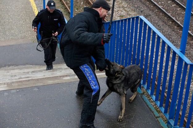Szkolenie psów policyjnych na dworcu w Białymstoku