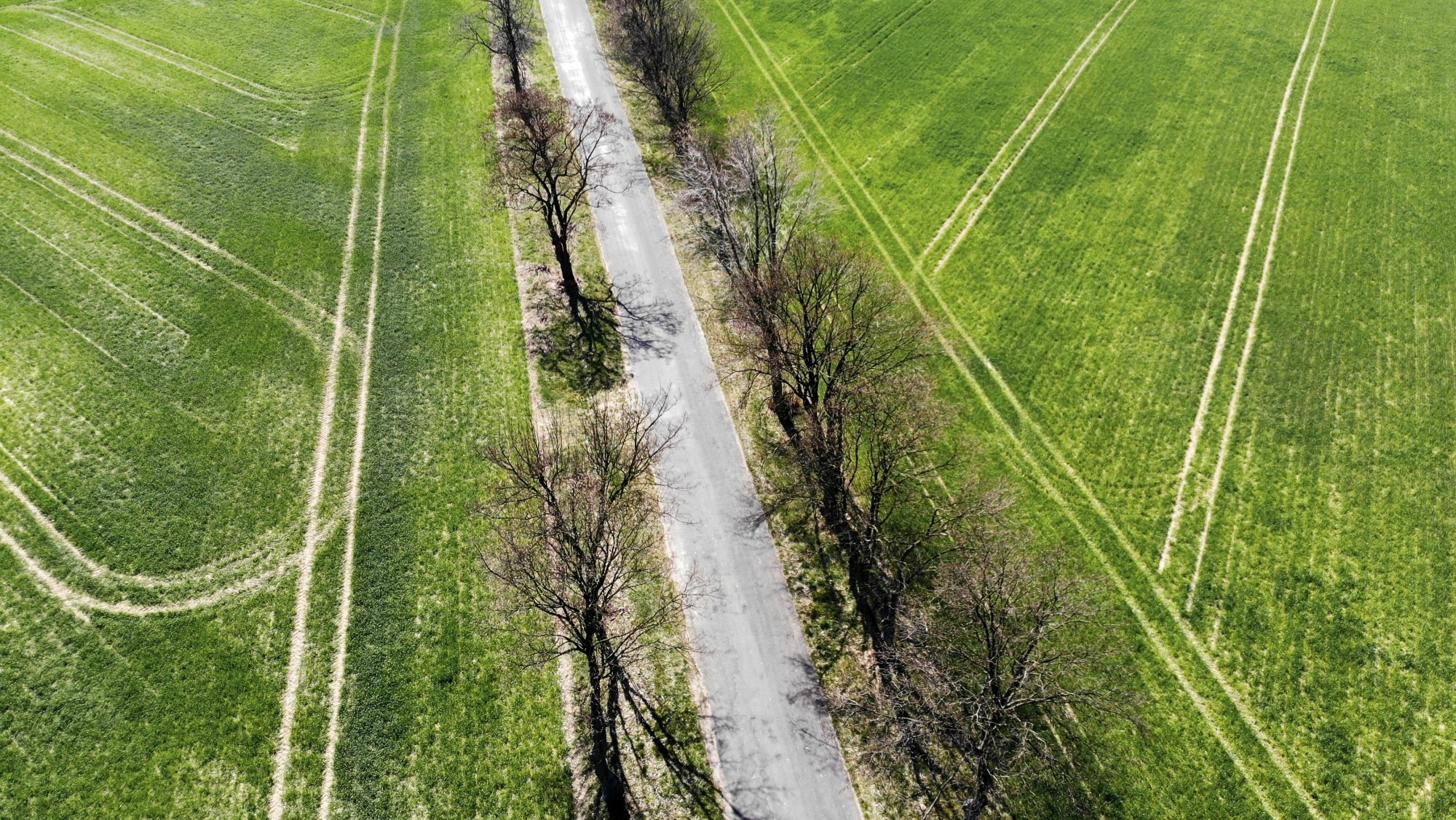Wiosna w Polsce okiem drona - zdjęcie 15