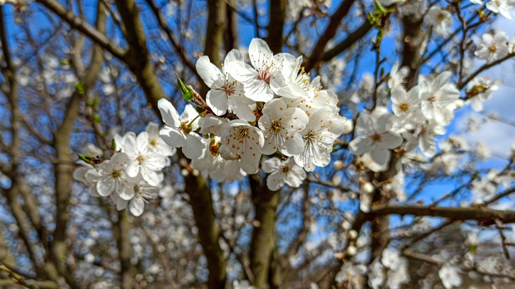 Marzec w obiektywie - zdjęcie 9
