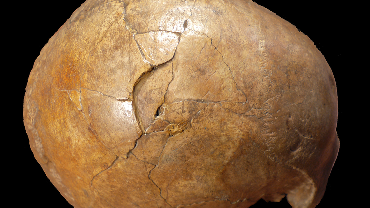 Zabójca użył pałki, prawdopodobnie był mańkutem. Zbrodnia sprzed... 33 tys. lat