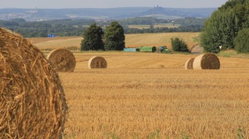 UE chce więcej plonów z Ukrainy. Polscy rolnicy zaniepokojeni