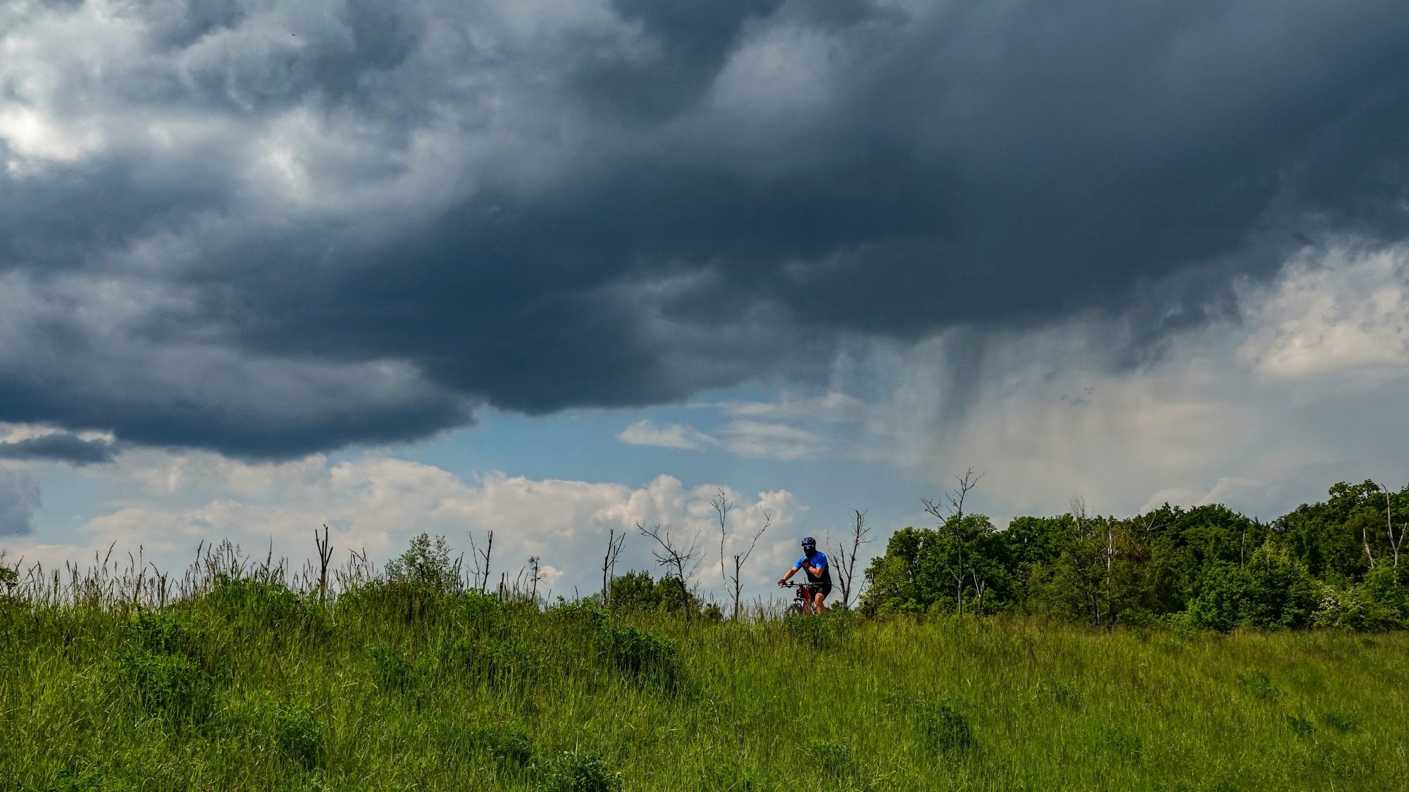 Uroki zielonej pory roku - zdjęcie 24