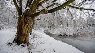 24.02.2023 06:00 Zaczyna sypać śnieg. Niebawem zawieje śnieżne spodziewane są niemal w całym kraju