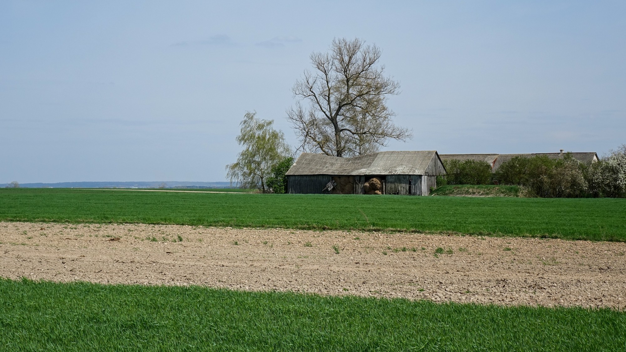 Kwiecień w obiektywie - zdjęcie 38